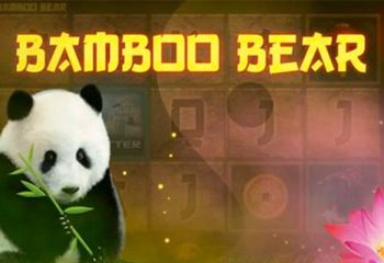 Bamboo Bear